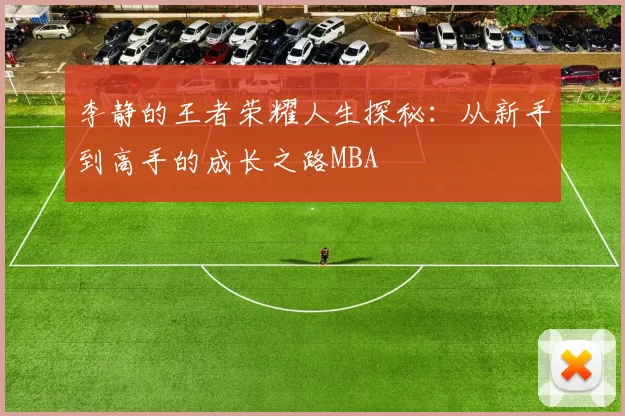 李静的王者荣耀人生探秘：从新手到高手的成长之路MBA
