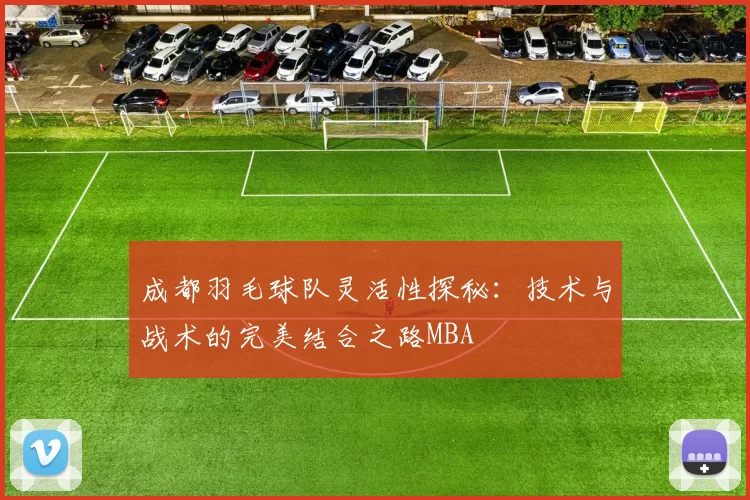 成都羽毛球队灵活性探秘：技术与战术的完美结合之路MBA