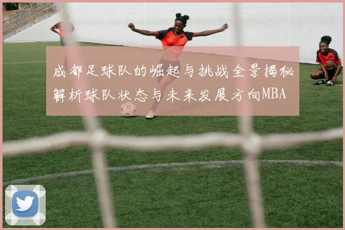 成都足球队的崛起与挑战全景揭秘解析球队状态与未来发展方向MBA