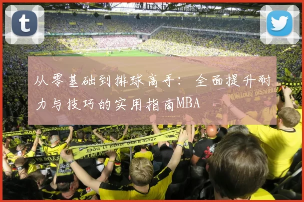 从零基础到排球高手：全面提升耐力与技巧的实用指南MBA