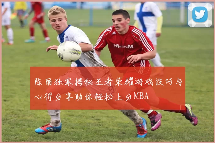 陈丽独家揭秘王者荣耀游戏技巧与心得分享助你轻松上分MBA