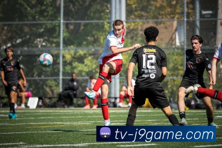 J9集团平台APP 封面图