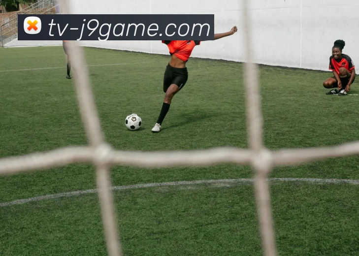 J9集团平台APP 封面图